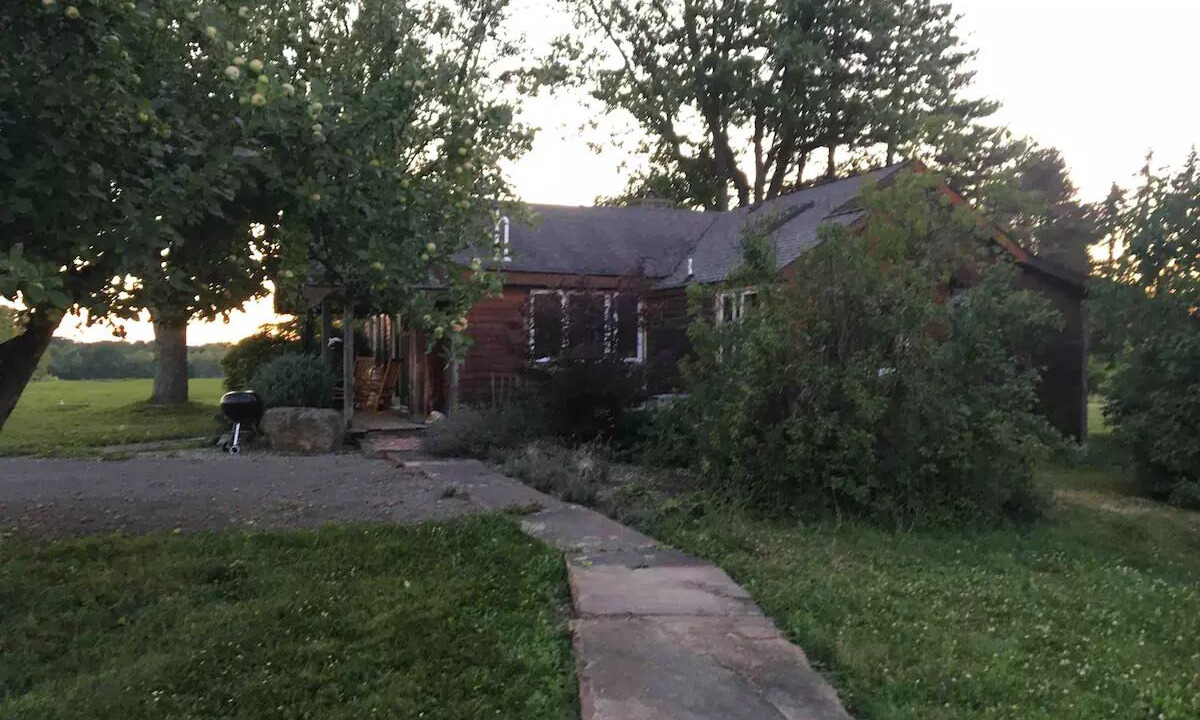 Photo of Outdoor in Orchard Park