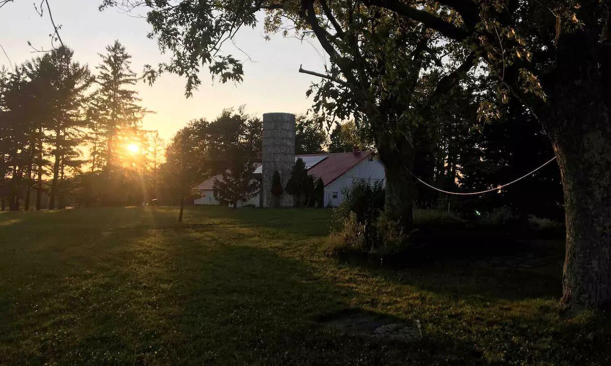 Photo of Outdoor in Orchard Park