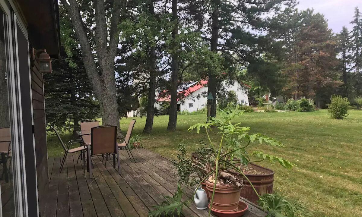 Photo of Outdoor in Orchard Park
