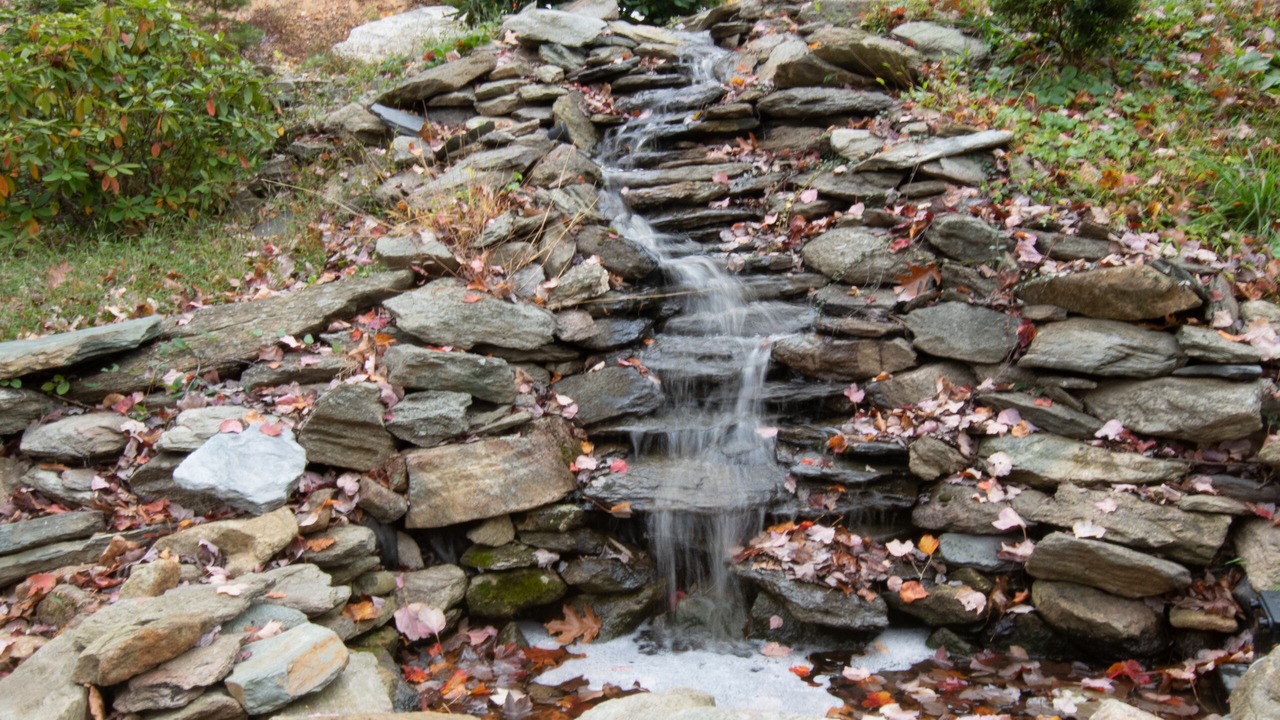 Photo of Outdoor in Stanardsville
