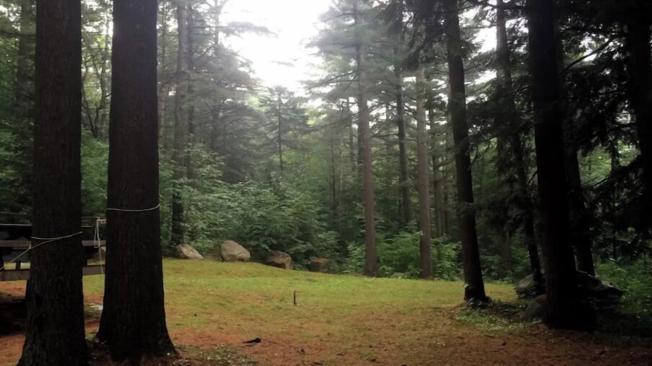 Photo of Outdoor in Westmore