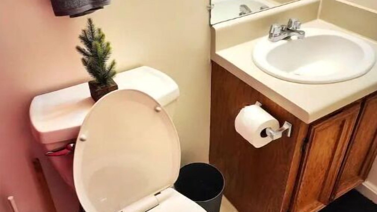 Photo of Bathroom in Davis