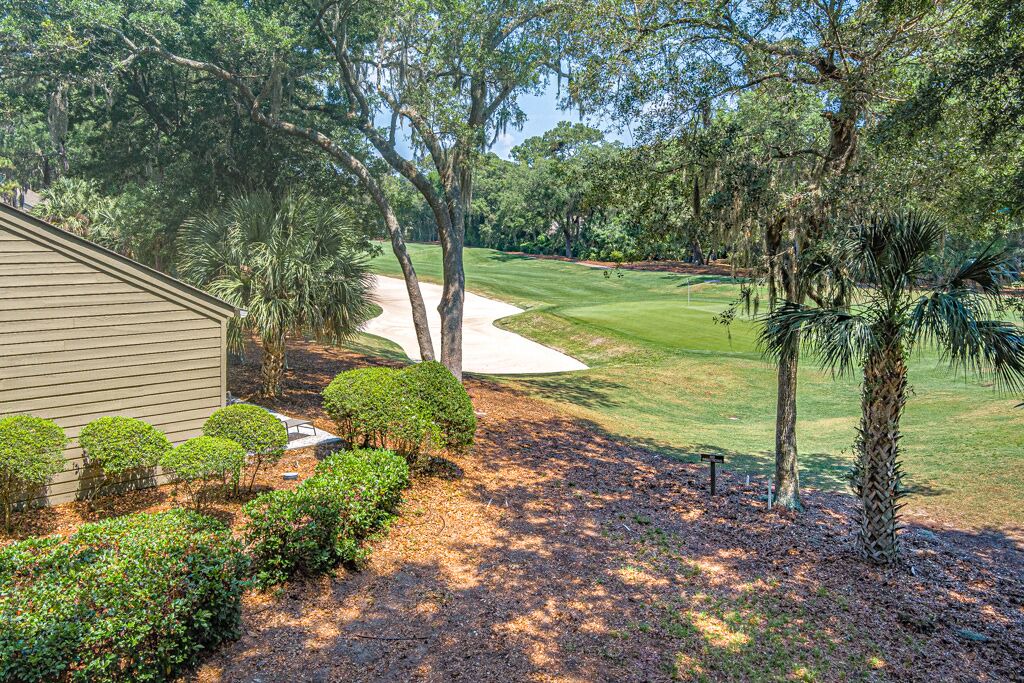 Photo of Others in Sea Pines