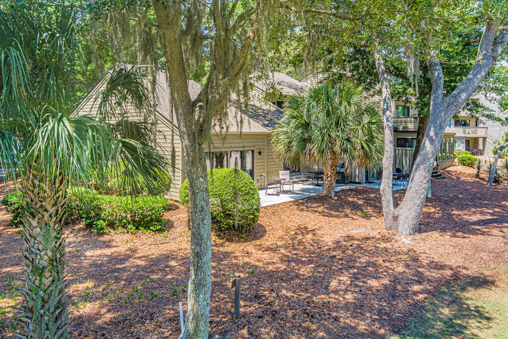Photo of Others in Sea Pines