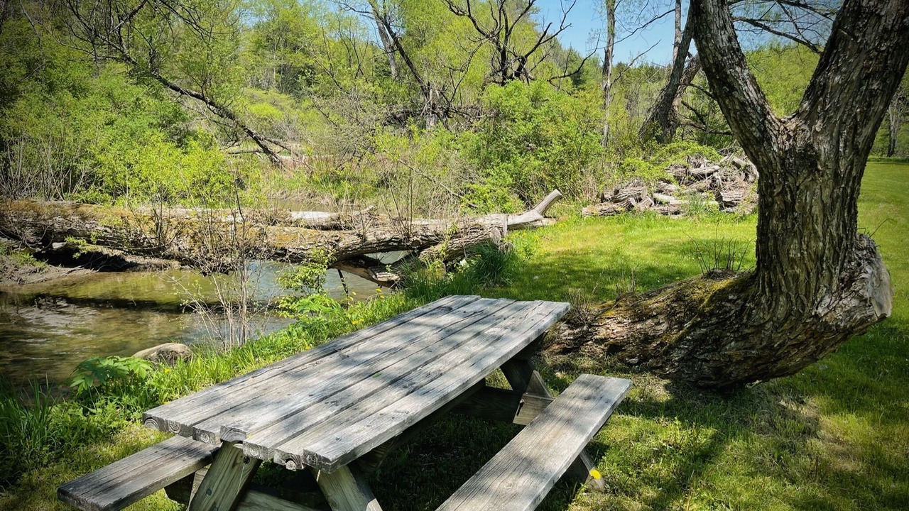 Photo of Outdoor in Fly Creek
