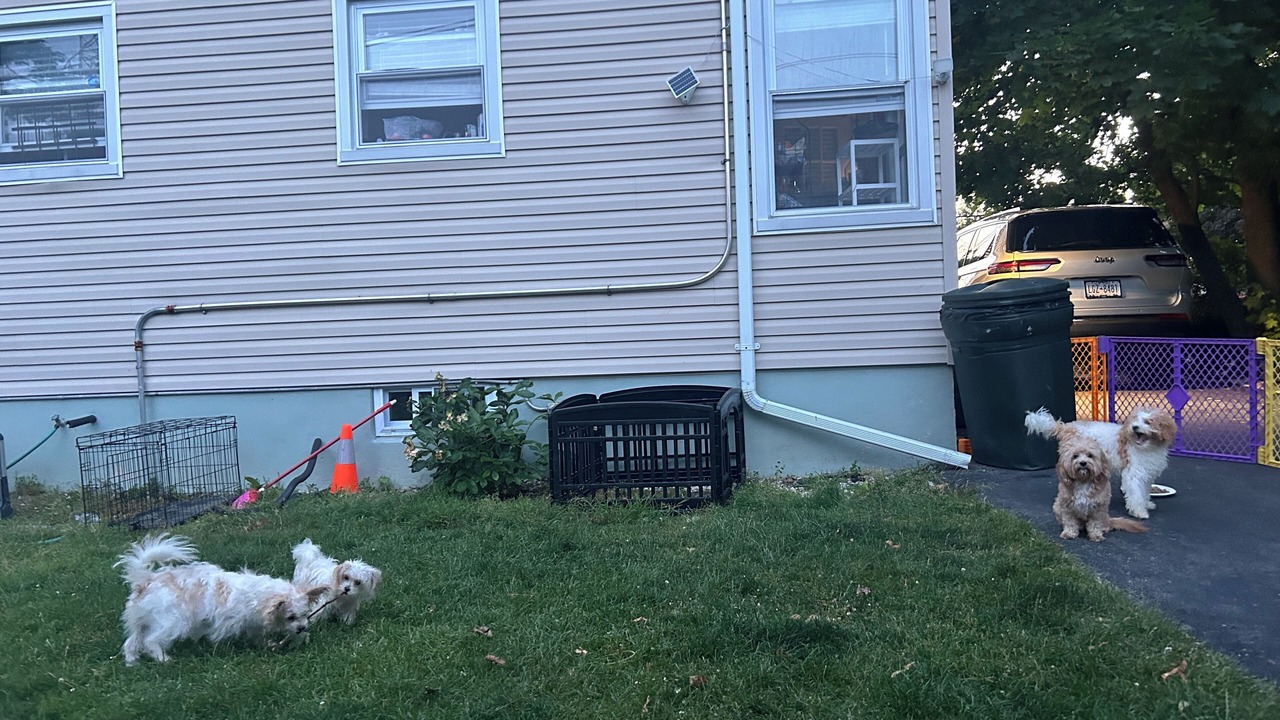 Photo of Outdoor in Northeast Yonkers