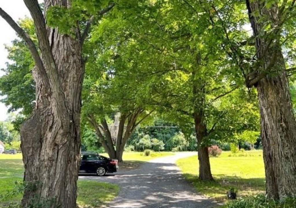 Photo of Outdoor in Town of Chesterfield