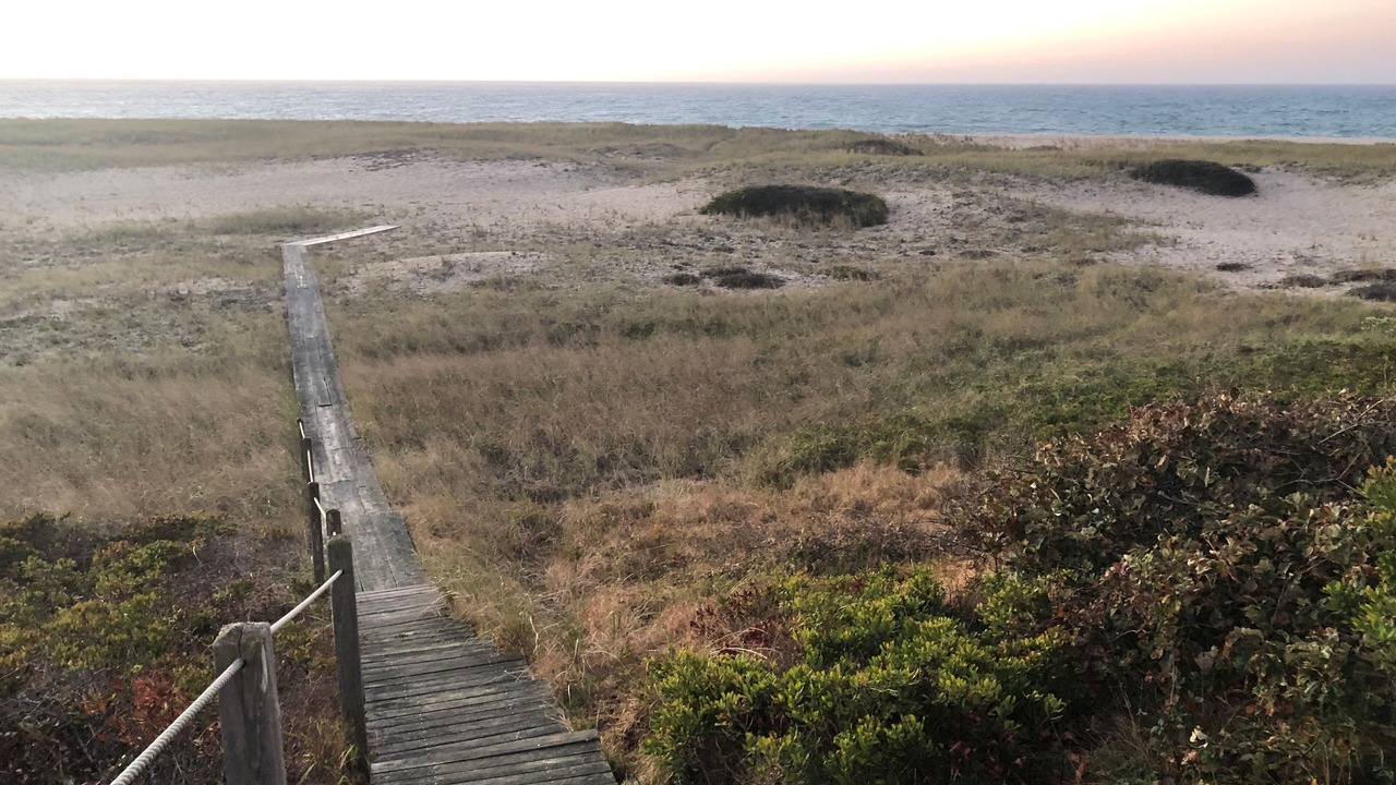 Photo of Others in Siasconset