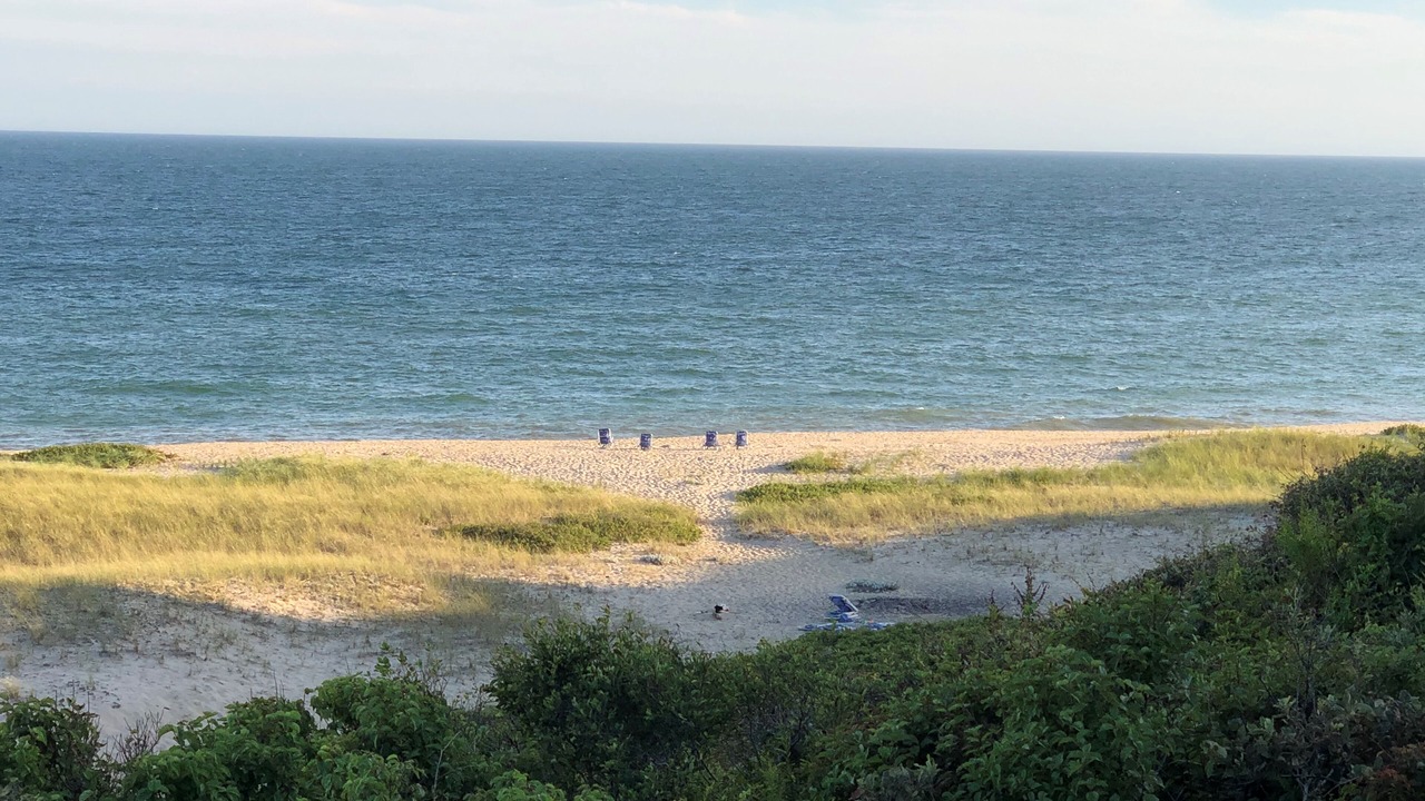 Photo of Others in Siasconset