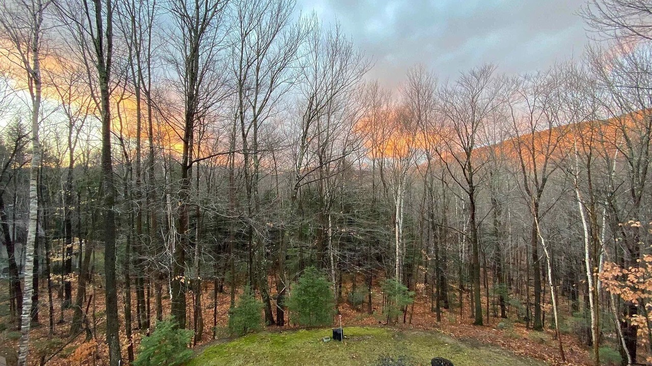 Photo of Outdoor in Bartlett