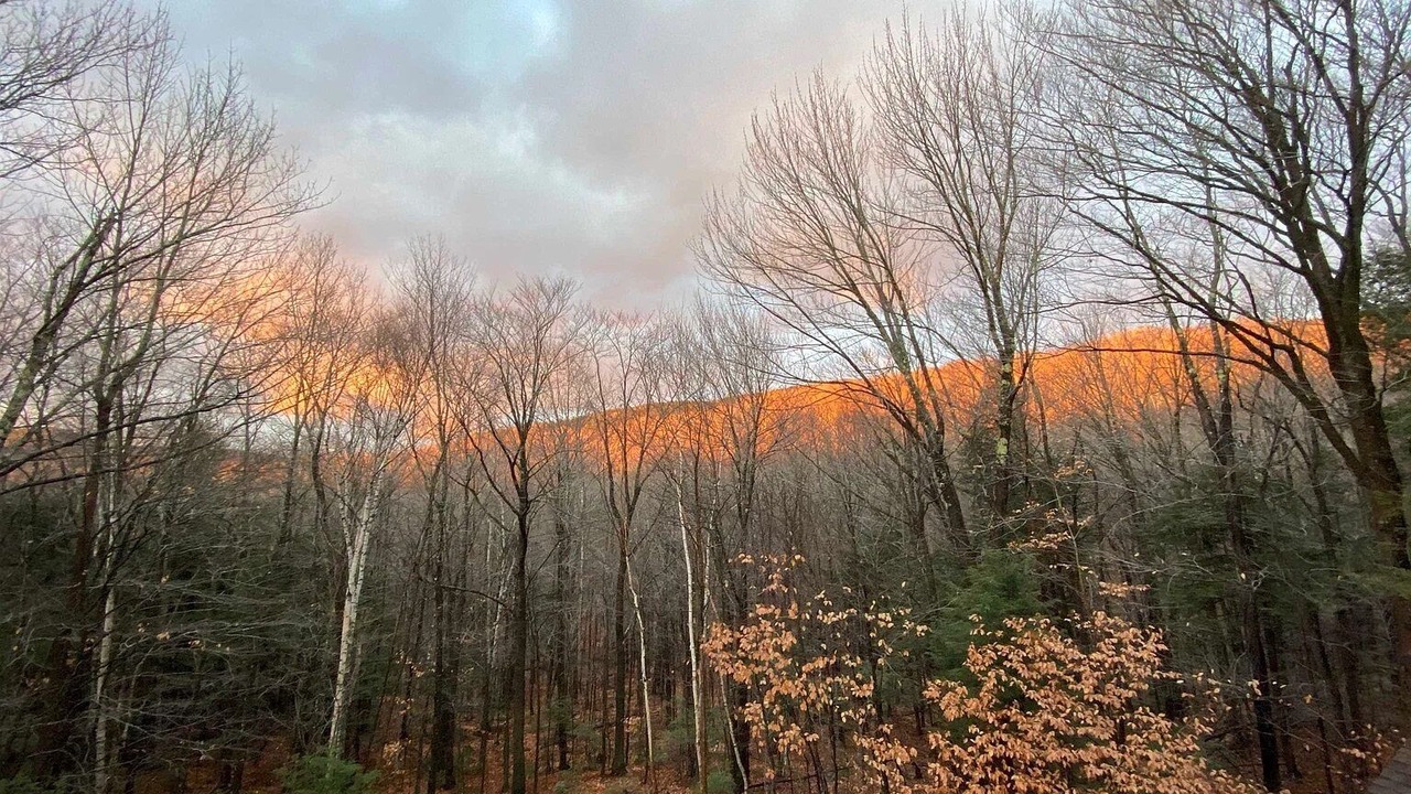 Photo of Outdoor in Bartlett