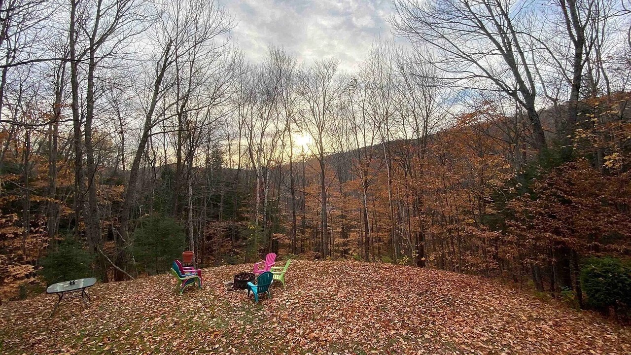 Photo of Outdoor in Bartlett