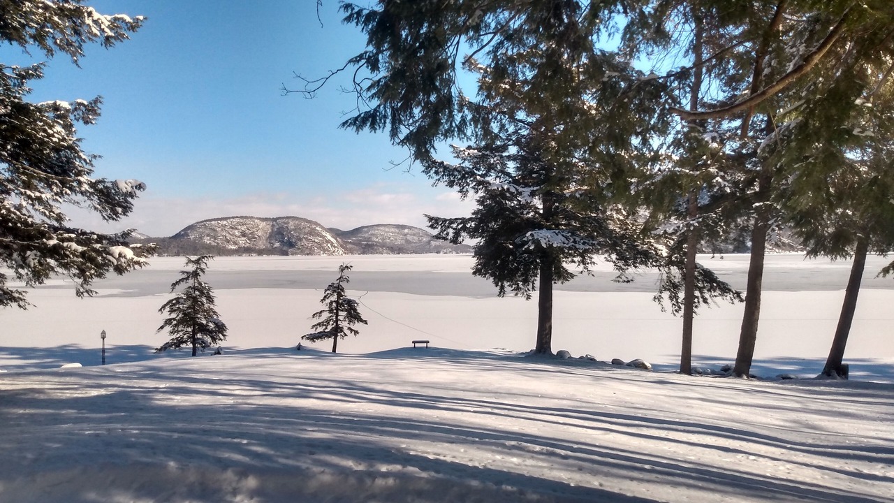 Photo of Outdoor in North Lake George