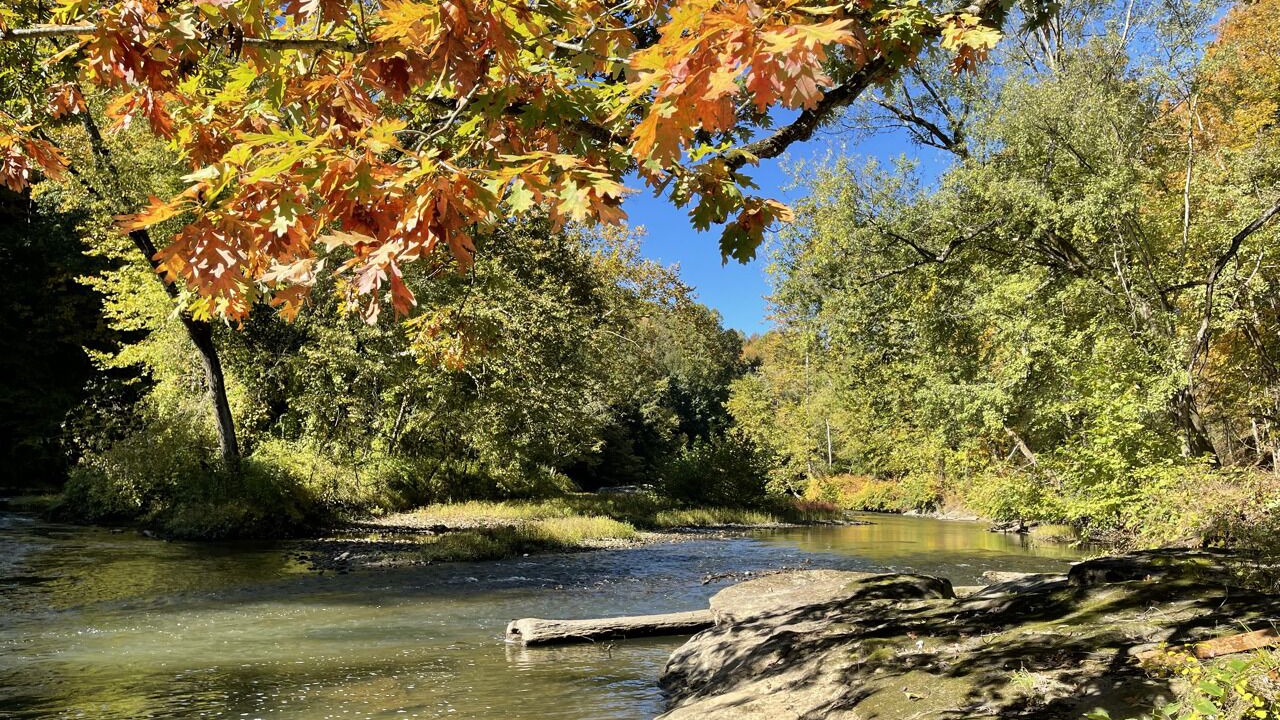Photo of Outdoor in New Castle
