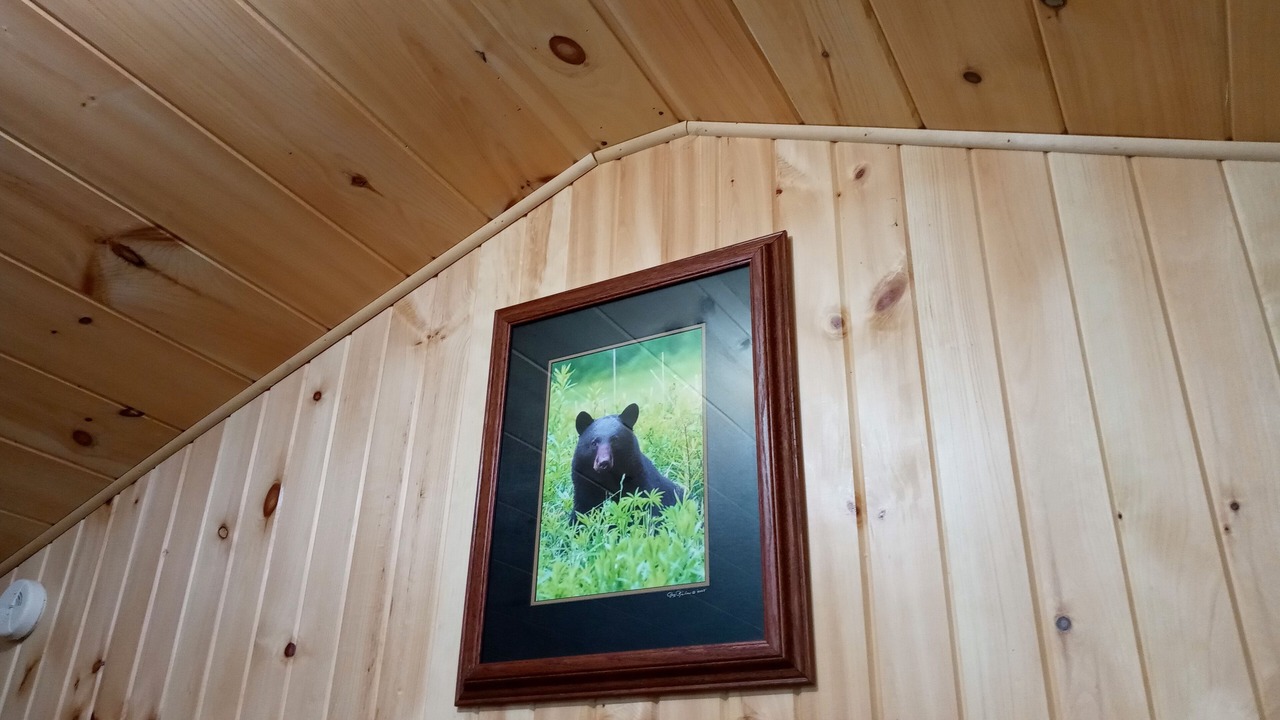 Photo of Others in Woodsville