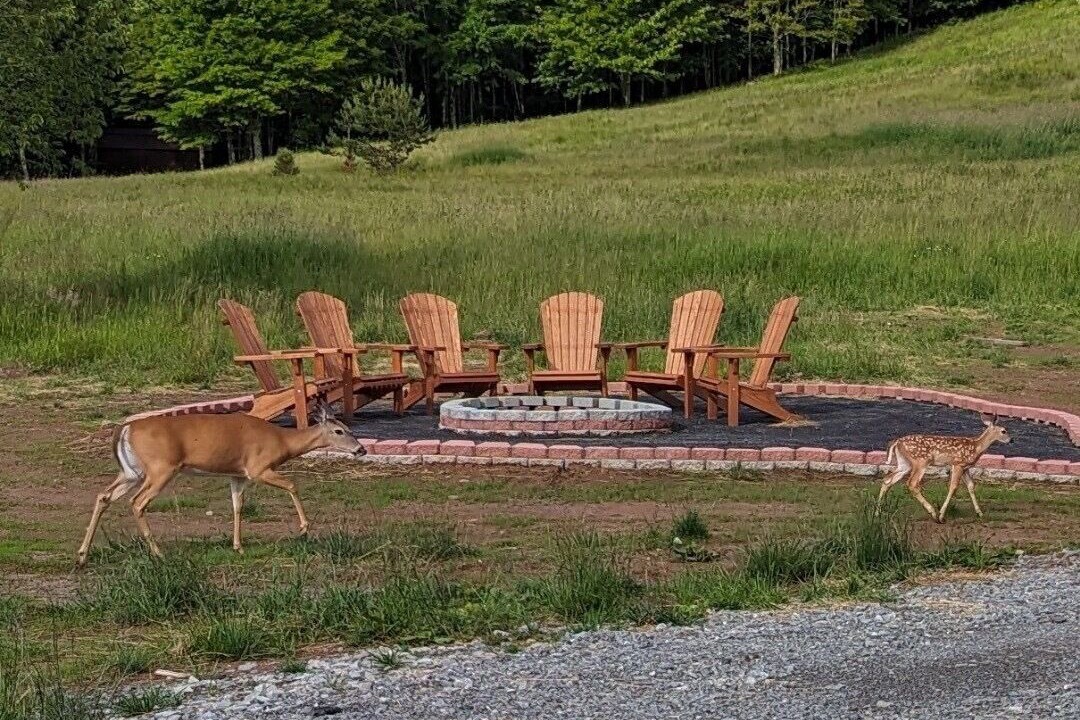 Photo of Outdoor in Dryfork