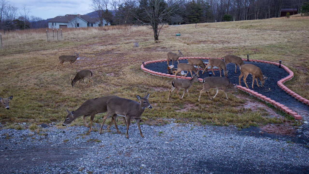 Photo of Outdoor in Dryfork