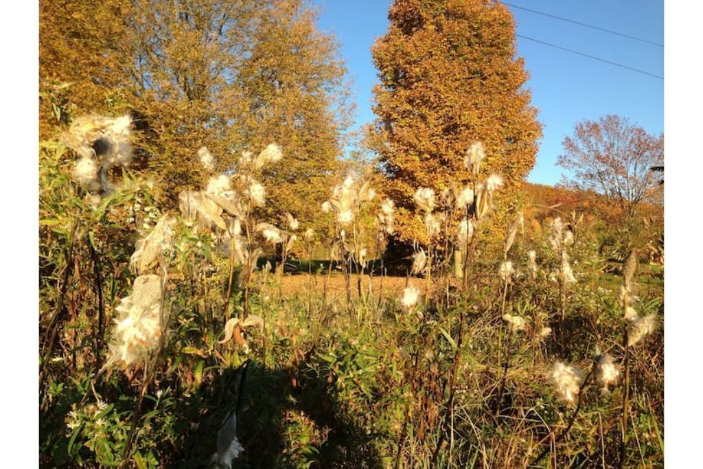 Photo of Outdoor in Beaver Dams