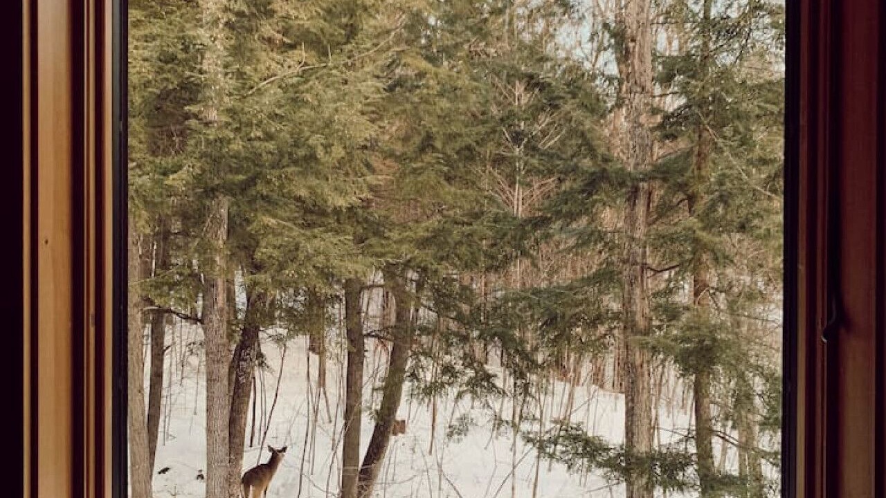 Photo of Others in Bethel
