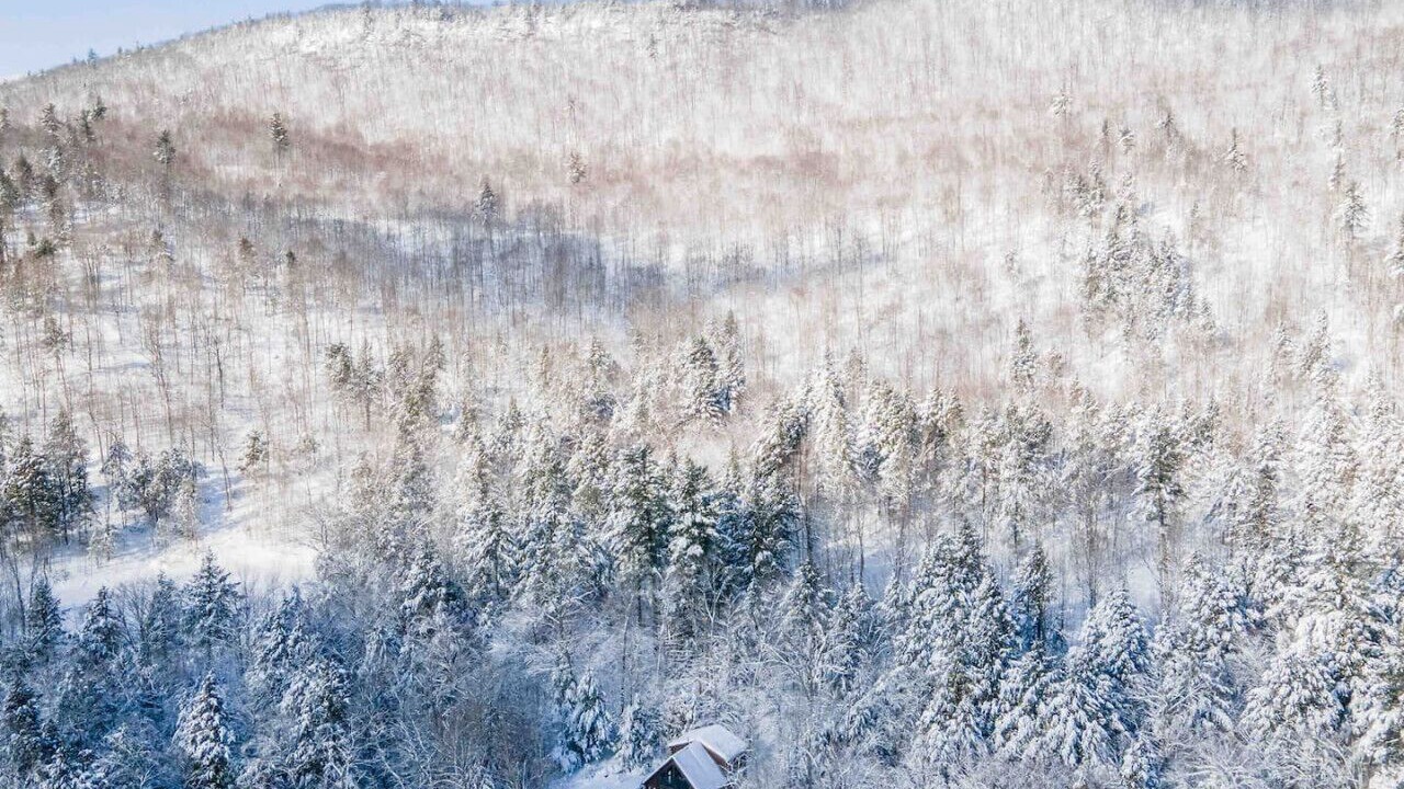 Photo of Others in Bethel