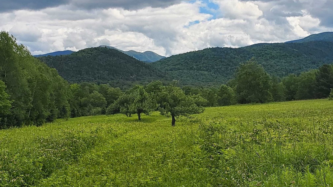 Photo of Outdoor in Hadley