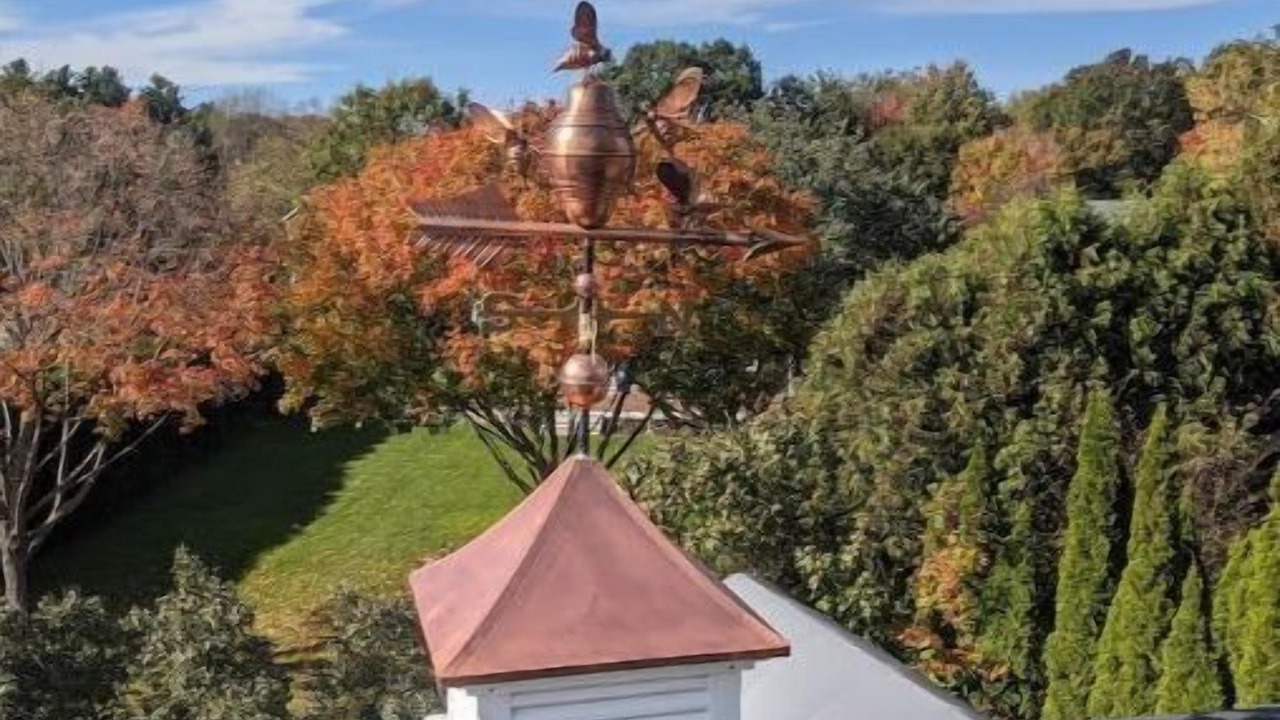 Photo of Outdoor in Colchester