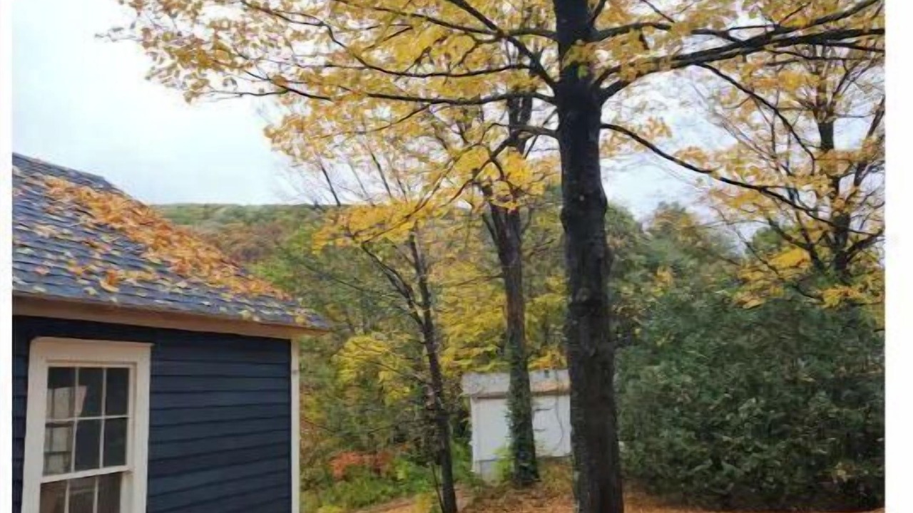 Photo of Outdoor in Shelburne Falls