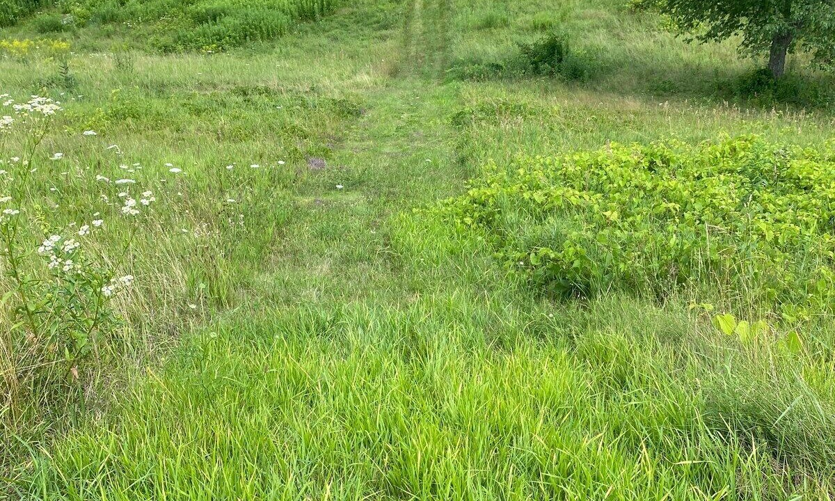 Photo of Outdoor in Cheshire