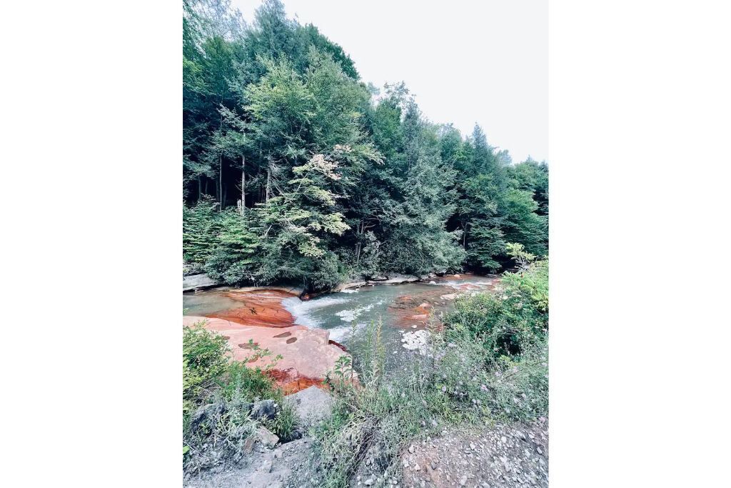 Photo of Outdoor in Old Timberline
