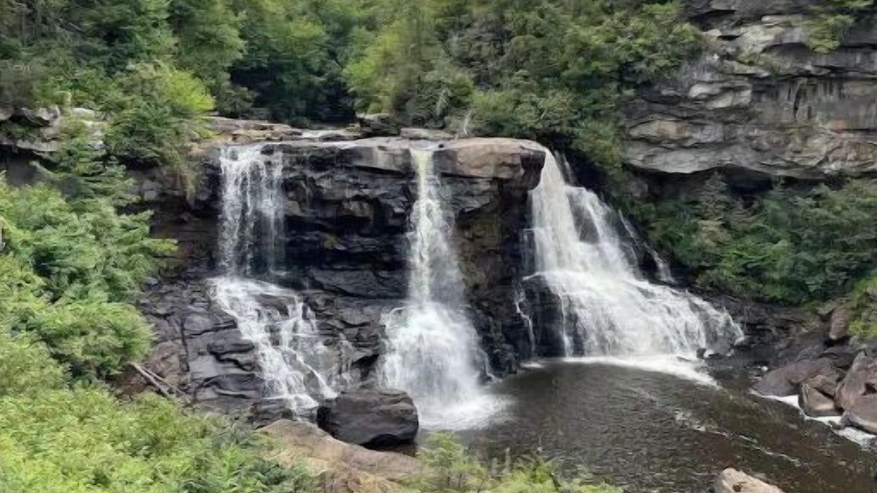 Photo of Outdoor in Old Timberline