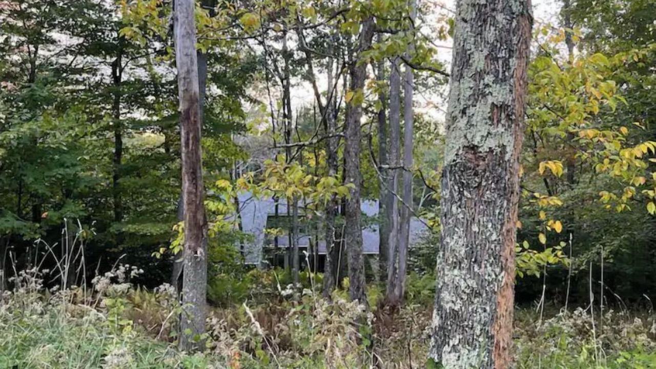 Photo of Outdoor in Old Timberline