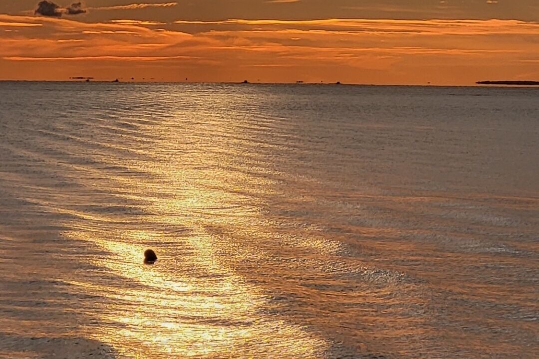 Photo of Outdoor in Oak Harbor
