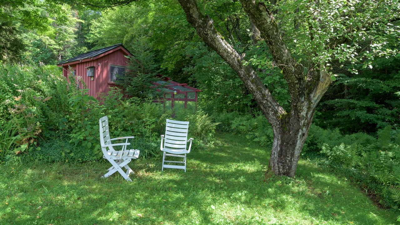 Photo of Outdoor in Weston
