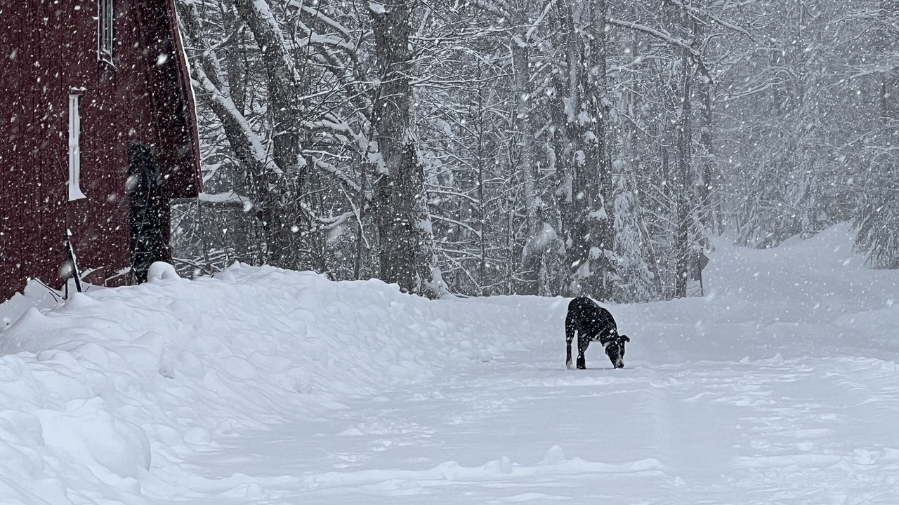 Photo of Outdoor in Weston