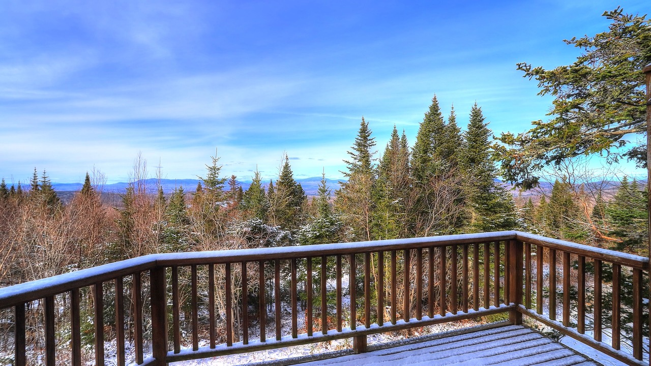 Photo of Others in Rangeley