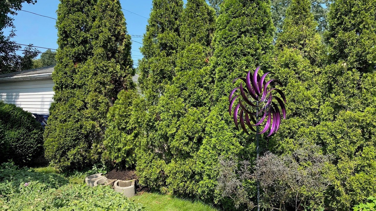 Photo of Outdoor in North Buffalo