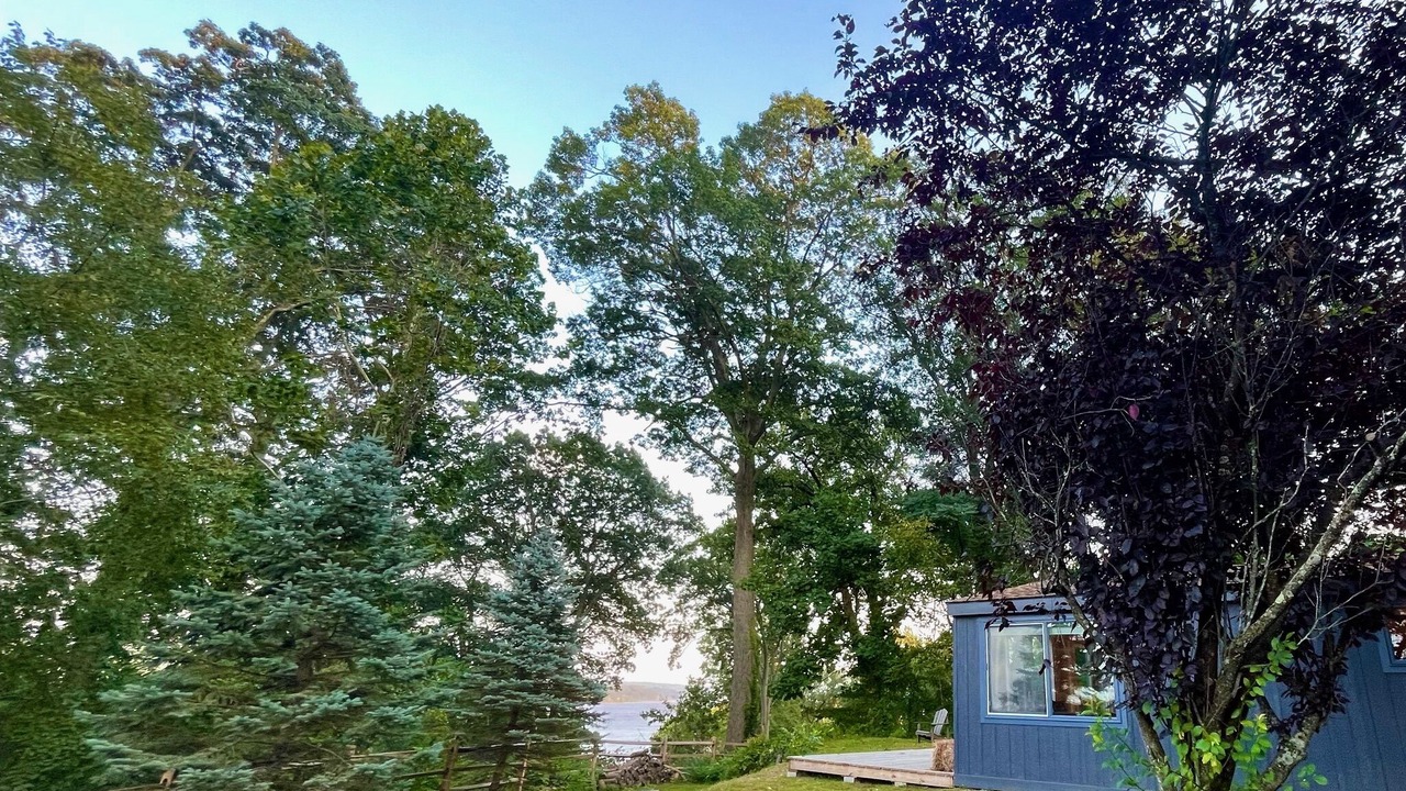 Photo of Outdoor in Port Ewen