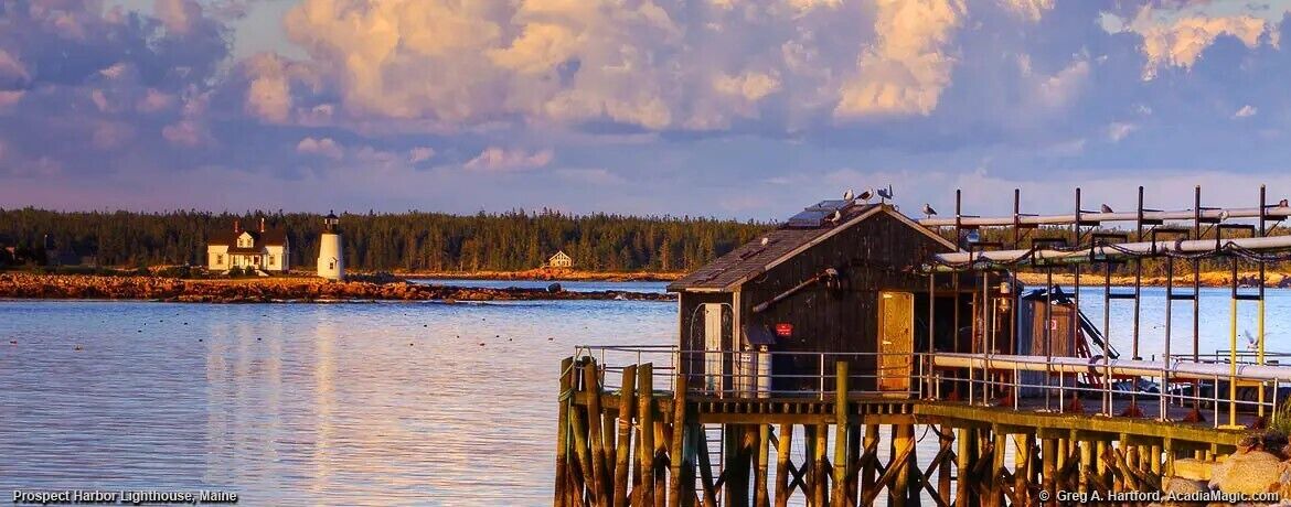 Photo of Others in Prospect Harbor