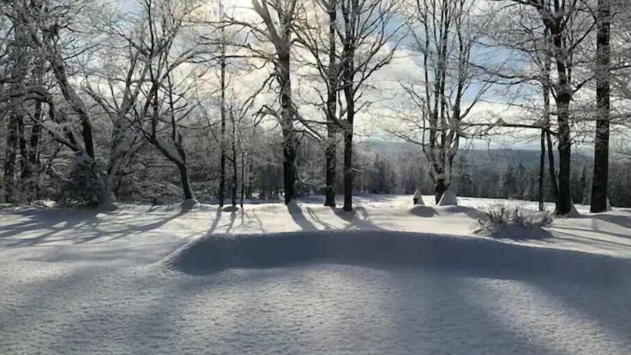 Photo of Others in Mount Holly