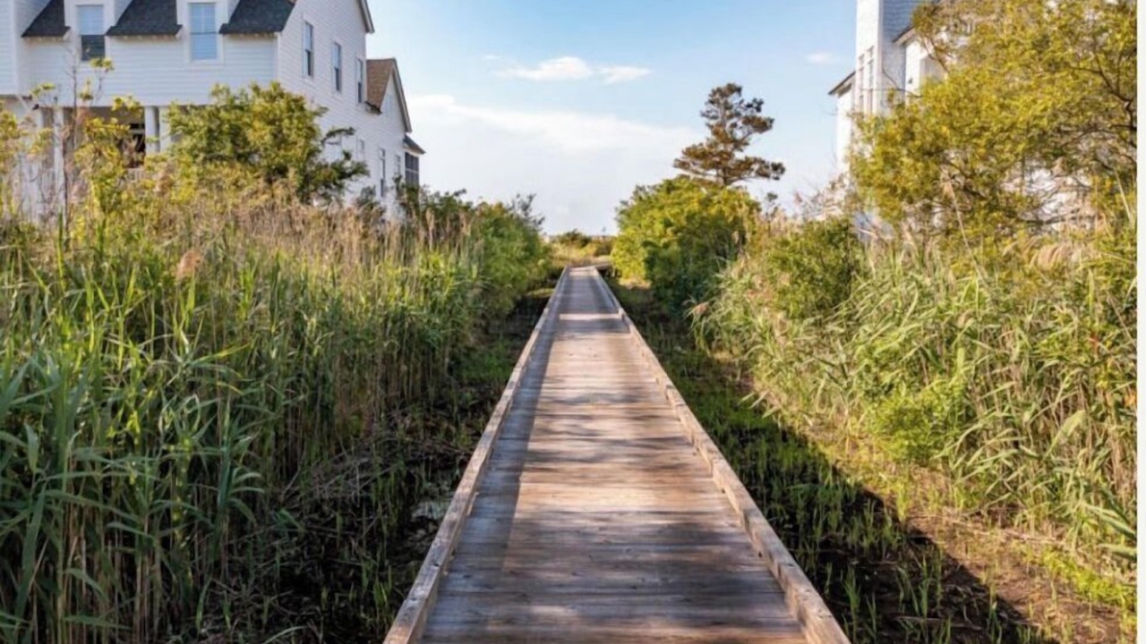 Photo of Outdoor in Atlantic Beach
