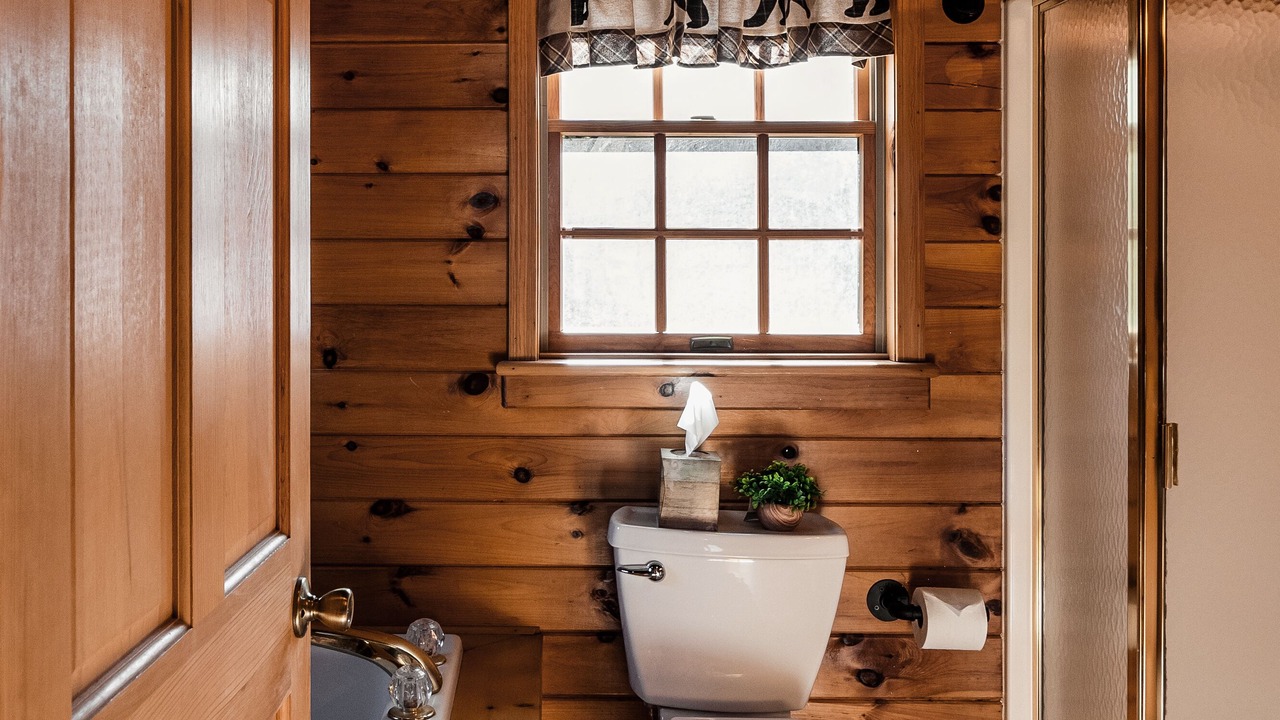 Photo of Bathroom in Downsville