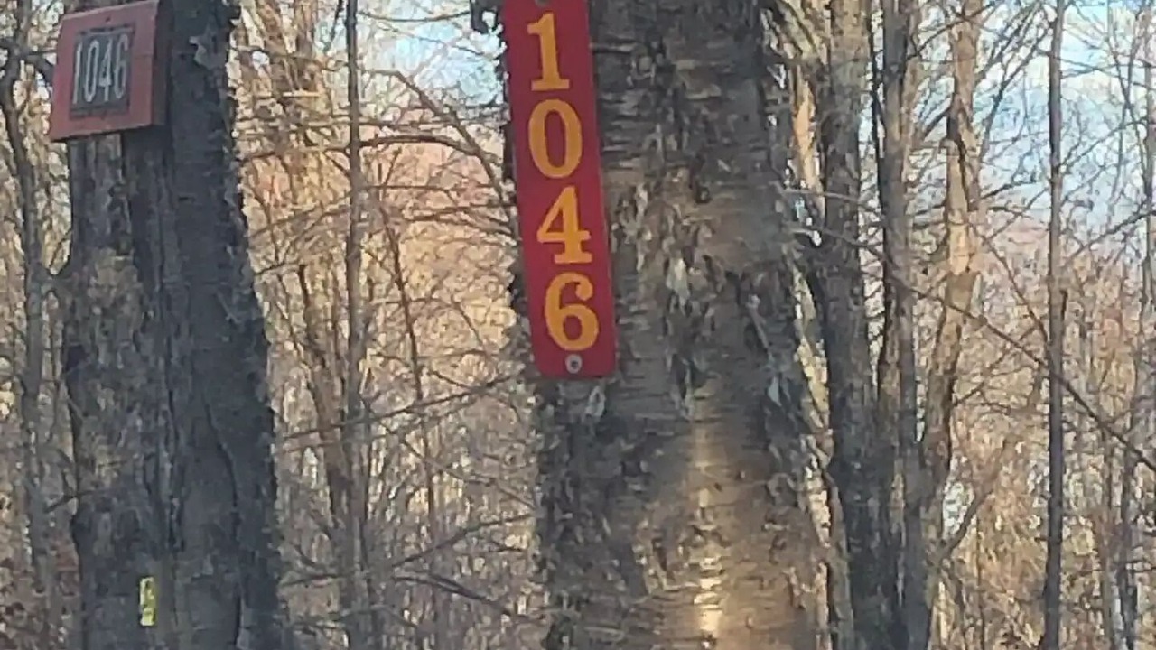 Photo of Outdoor in Northfield