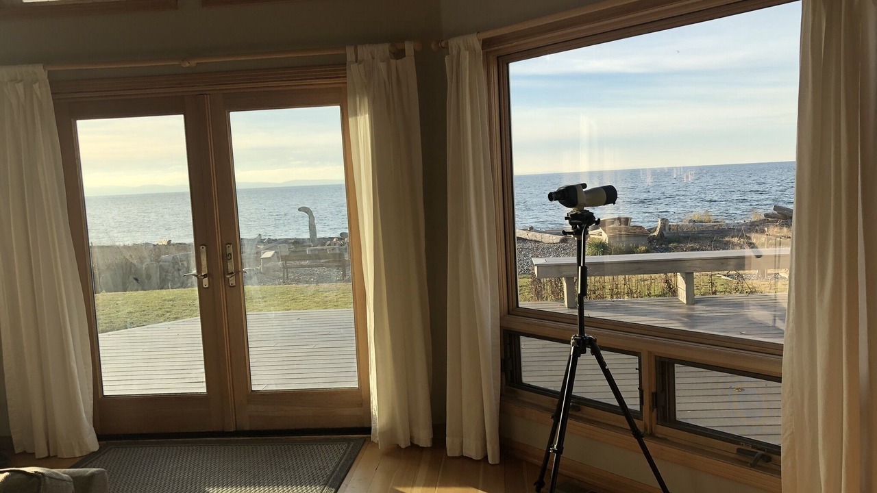 Photo of Others in Point Roberts
