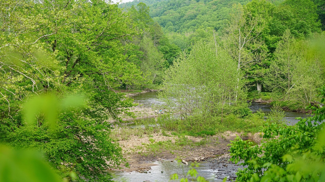Photo of Outdoor in Elkins