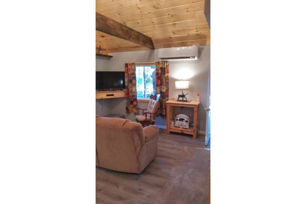 Photo of Livingroom in Dansville