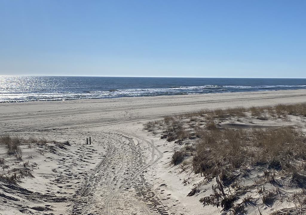 Photo of Outdoor in North Beach Haven