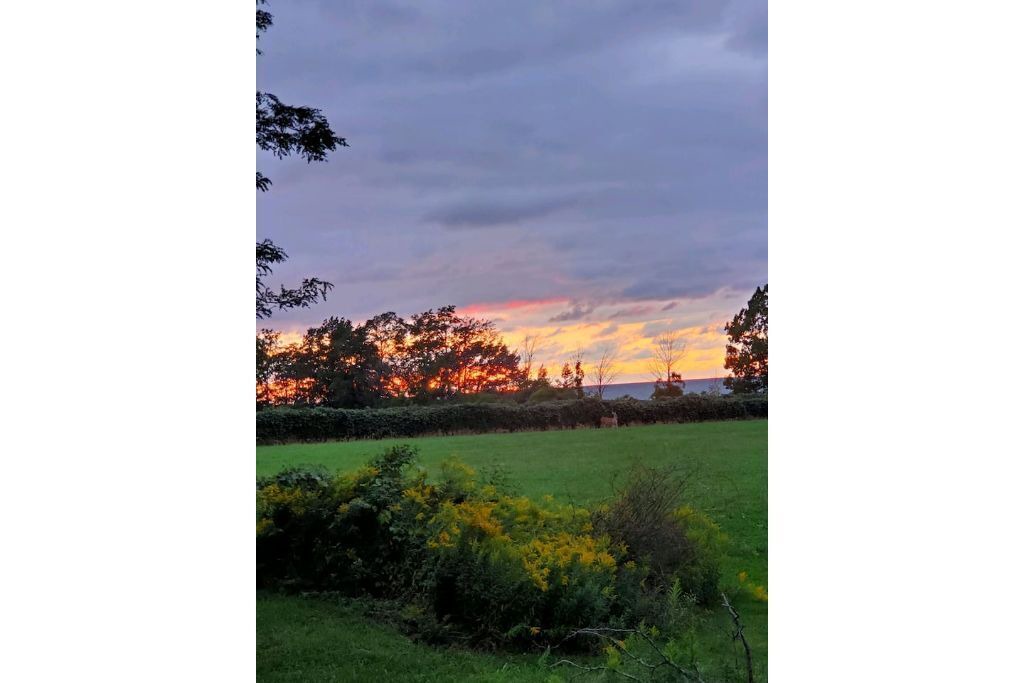 Photo of Outdoor in Ripley