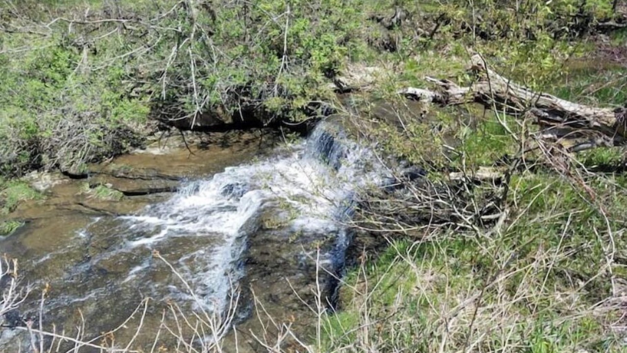 Photo of Outdoor in Ripley