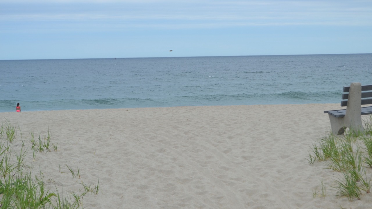 Photo of Others in Seabrook