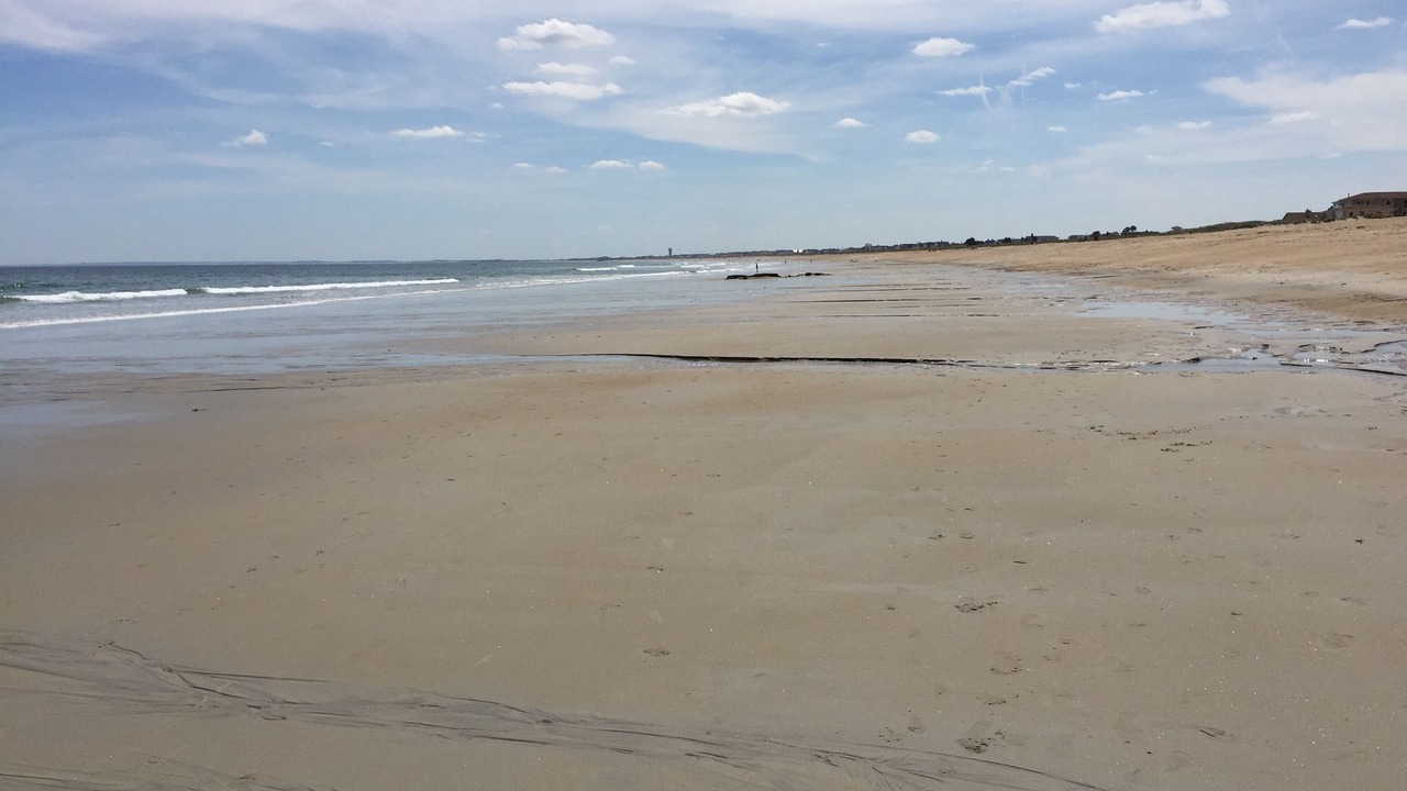 Photo of Others in Seabrook